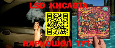 PSILOCYBIN Кимры
